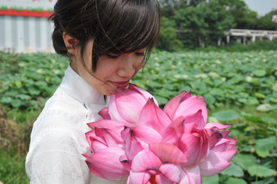 The beauty of lotus at West Lake